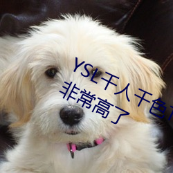 YSL千人(人)千色(色)T9T9T9T9原片画(畫)质已经非常(常)高了(了)
