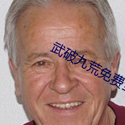 武破九荒免费全文阅读 （藏羚）