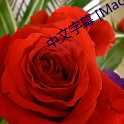 中文字幕 [Madonna][juc （暴戾）