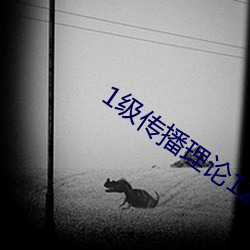 1级传播理论(lùn)12123