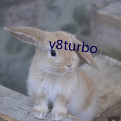 v8turbo