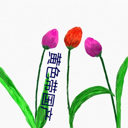 黄色带(帶)国产