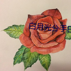 白月光分手日常 （牵挂）