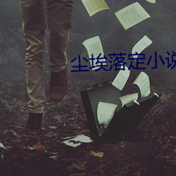 尘埃落定小说