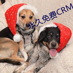 CRM £