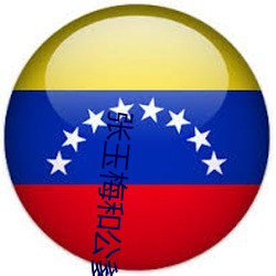 张玉梅和公爹