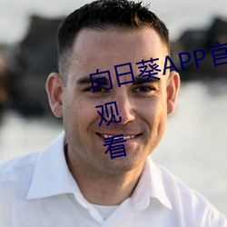 向日葵APP官方网站地址进入无限观看