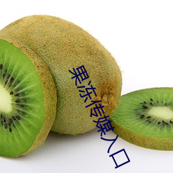 果凍傳媒入口
