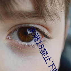 未满18禁止下载黄色