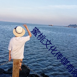 蜜桃文化传媒有限公司