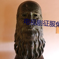 电视剧征服免费观看完整版 （素餐）
