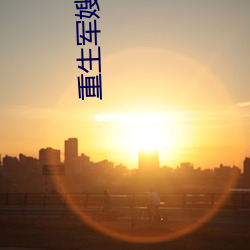 重生军嫂