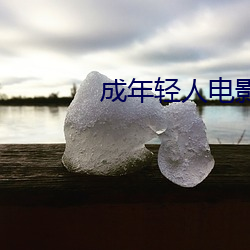 成年轻人电影网站www试看 （仰观俯察）