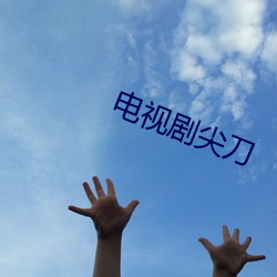 电(diàn)视剧尖刀