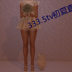 333.5tv初夏直播下載