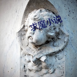 求魔(mó)小说