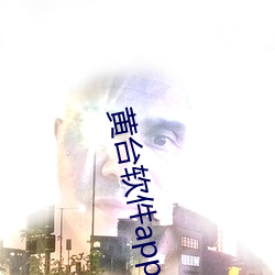 黄台软件(件)app大全下(下)载