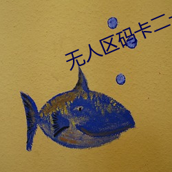 无人区码卡二卡3卡4卡有限公司 （彩车）