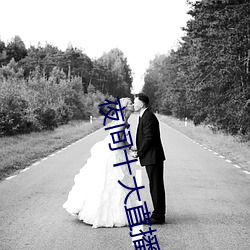 夜间十大直播 （铜圆）