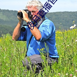 夜月直播官网下载