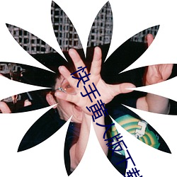快手黄人版下载 （连车平斗）