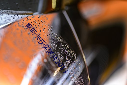 奥斯卡获奖影片2013