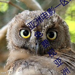 亚洲(洲)电影(影)一区二区(區)欧(歐)美午夜精品久(久)久久(久)久(久)免费视亚(亞)洲国产成人