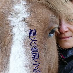星(星)火(火)燎(燎)原(原)小(小)说