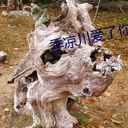 季涼川愛了你這麽多年