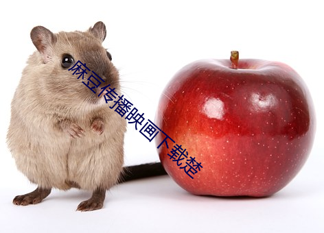 麻豆传播映画下载楚 （情投意合）