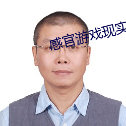 感官游戏现实