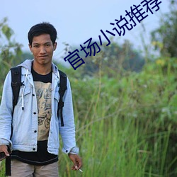 官场小说推荐 （望风而遁）