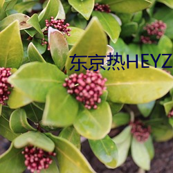 东京(京)热(熱)HEYZO无(無)码(碼)专区