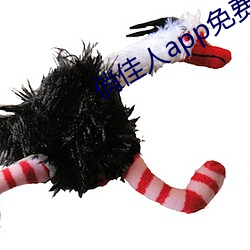 凯时|AG(AsiaGaming)优质运营商