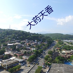 大药(yào)天香