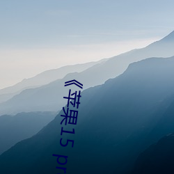 《苹果15 pro max开售