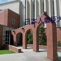 日本人妻巨大乳挤奶水