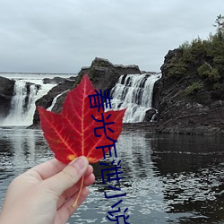 春光乍泄小說