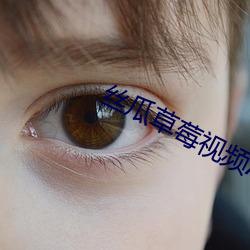 丝瓜草(cǎo)莓视频APP