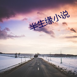 半生(shēng)缘小说