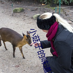 小菇子的味道3