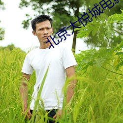 北京大悦城电影院 （职责）