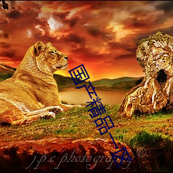 国产精品(pǐn)一区(qū)