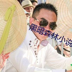 黑暗森林小说 （怪形怪状）