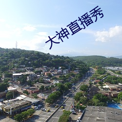 大神直播秀