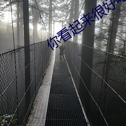 你看起来很好吃国语版电影 （乐在其中
