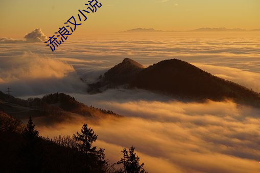 流(流)浪(浪)汉小说(說)