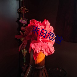 末日危途