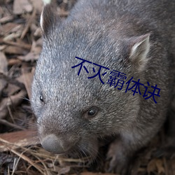 不灭(滅)霸体诀(訣)