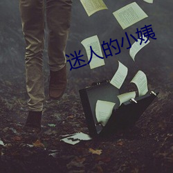 迷人的小姨 （清通）